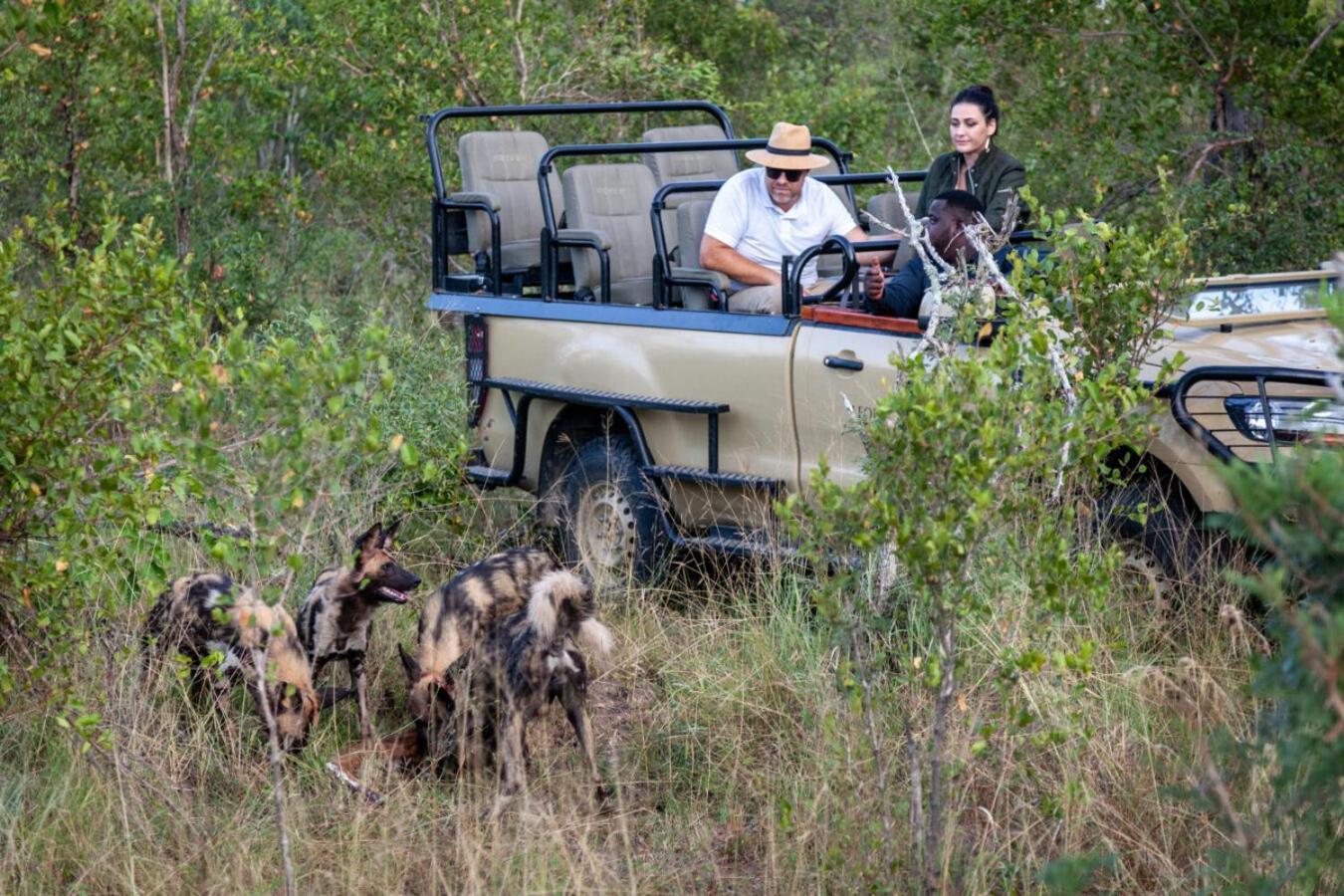 Leopard Hills Private Game Reserve Reserva de caza Sabi Sand Exterior foto