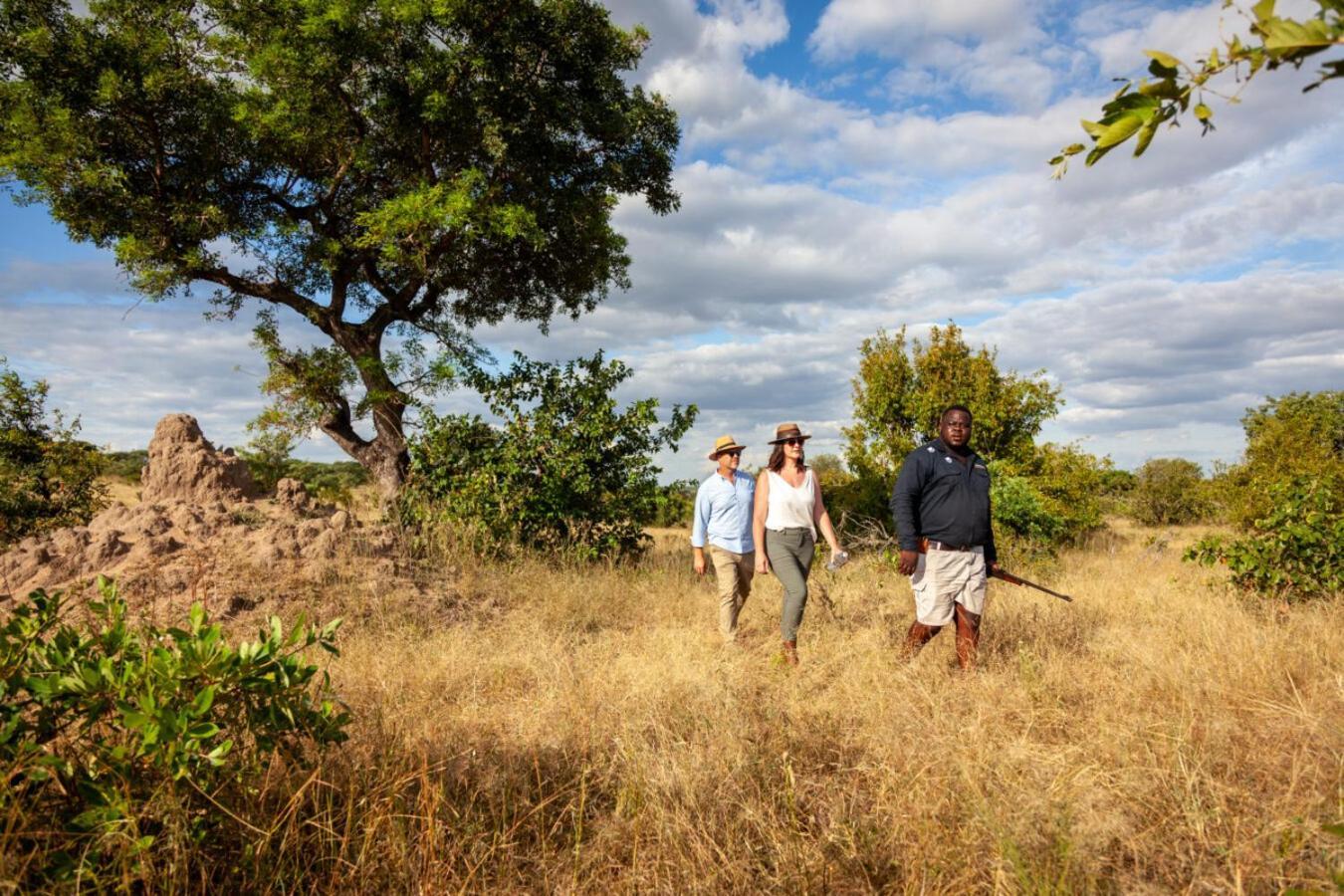 Leopard Hills Private Game Reserve Reserva de caza Sabi Sand Exterior foto