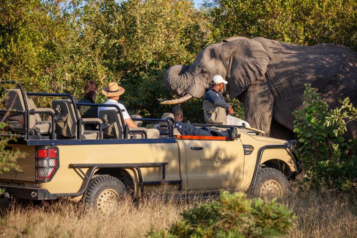 Leopard Hills Private Game Reserve Reserva de caza Sabi Sand Exterior foto