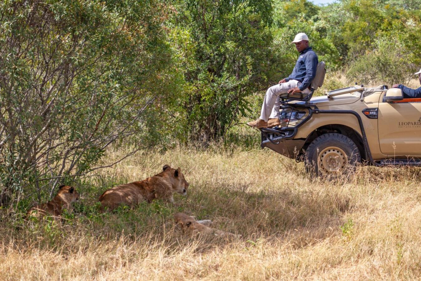 Leopard Hills Private Game Reserve Reserva de caza Sabi Sand Exterior foto