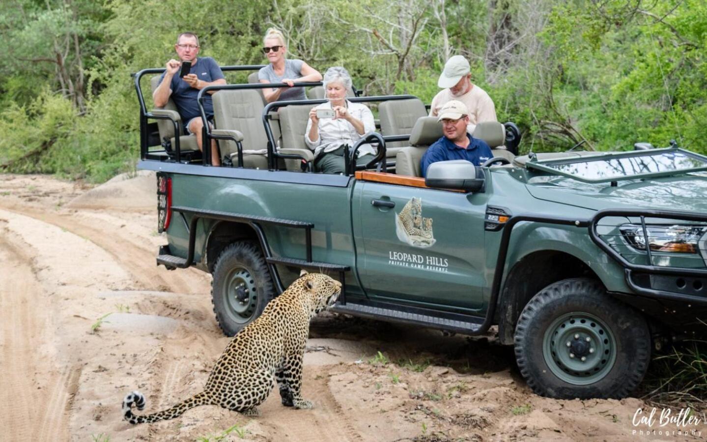 Leopard Hills Private Game Reserve Reserva de caza Sabi Sand Exterior foto