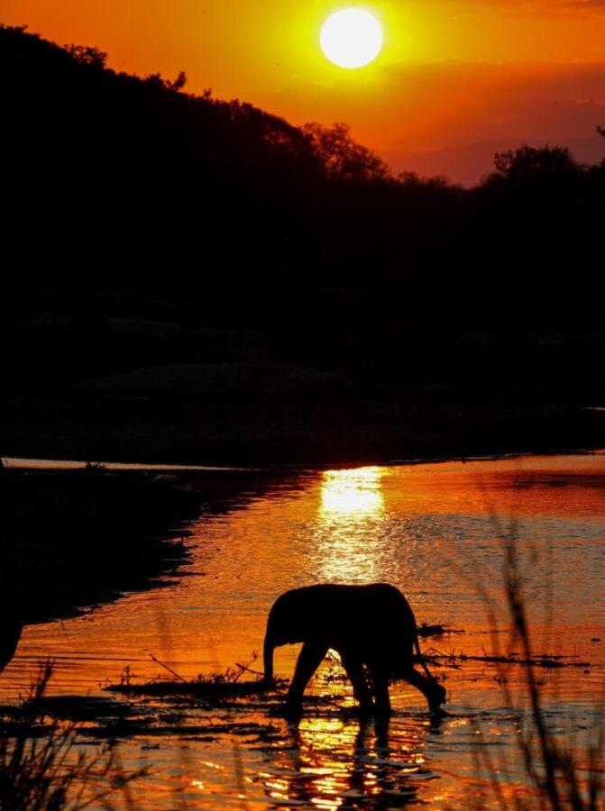 Leopard Hills Private Game Reserve Reserva de caza Sabi Sand Exterior foto